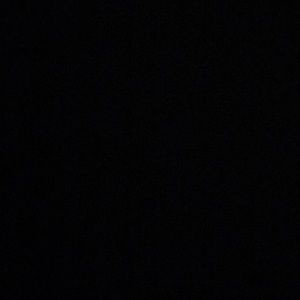 Meet your Posher, Isabella